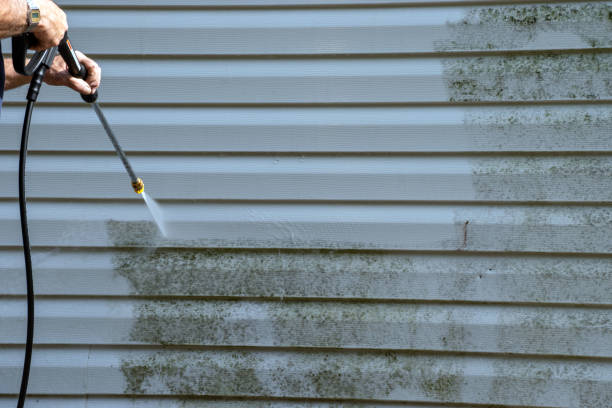 Best Property Management Cleanouts  in Farmington, MS